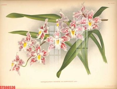 File gốc Tranh sơn dầu phương tây tổng hợp STS66536 (ảnh chi tiết) để in lụa