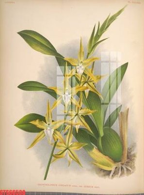 Tải file Tranh sơn dầu phương tây tổng hợp STS66538 (PSD) cho in tranh 3D