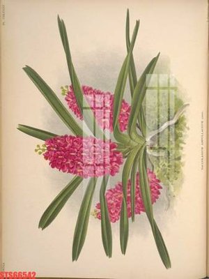 File gốc Tranh sơn dầu phương tây tổng hợp STS66542 (PNG) trong suốt (transparent)