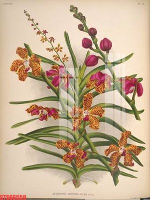 Cung cấp file tranh gốc Tranh sơn dầu phương tây tổng hợp STS66559 độc quyền