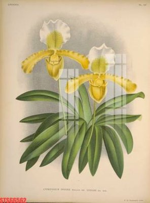 Tải file gốc Tranh sơn dầu phương tây tổng hợp STS66562 (bản PSD) đầy đủ layer