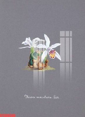 Tải file gốc Tranh sơn dầu phương tây tổng hợp STS66588 (in bạt) quảng cáo