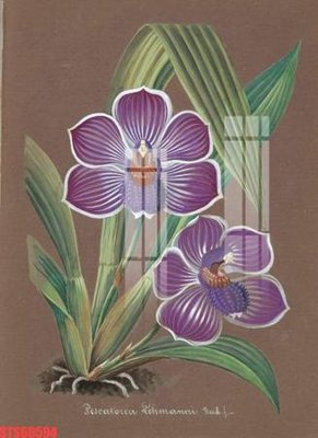 Tải xuống file tranh gốc Tranh sơn dầu phương tây tổng hợp STS66594 (PSD/TIFF)