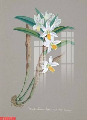 File gốc Tranh sơn dầu phương tây tổng hợp STS66596 (trang trí) phòng làm việc