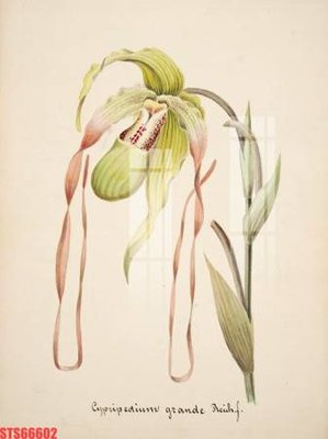 File tranh Tranh sơn dầu phương tây tổng hợp STS66602 (bản gốc) treo tường