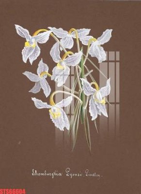 Download file gốc Tranh sơn dầu phương tây tổng hợp STS66604 (độ nét cao)