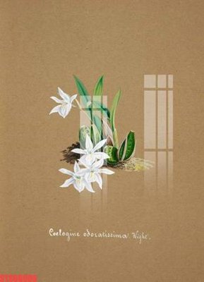 File in mica Tranh sơn dầu phương tây tổng hợp STS66605 (bản gốc) siêu trong