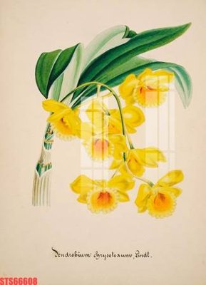 File gốc Tranh sơn dầu phương tây tổng hợp STS66608 (in lụa) họa tiết 3D