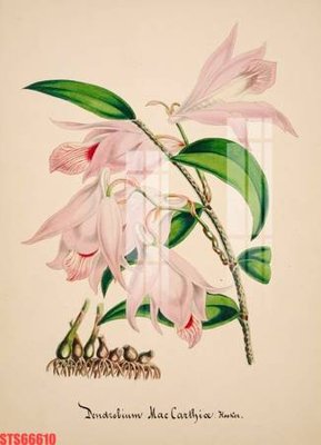 File PSD Tranh sơn dầu phương tây tổng hợp STS66610 (chất lượng in ấn)