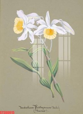 Tải file Tranh sơn dầu phương tây tổng hợp STS66615 (ảnh gốc) 300dpi Tranh sơn dầu phương tây tổng hợp STS66615