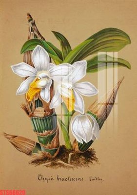 File gốc Tranh sơn dầu phương tây tổng hợp STS66620 (vector) cho in ấn