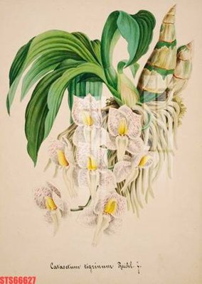 Mua file gốc Tranh sơn dầu phương tây tổng hợp STS66627 (in ấn) tại Filetranh.com