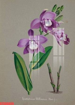 File ảnh Tranh sơn dầu phương tây tổng hợp STS66629 (gốc) in backdrop sự kiện