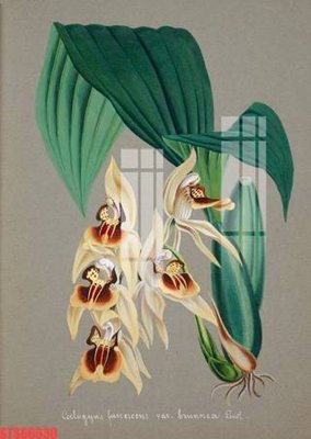 File in ấn cao cấp Tranh sơn dầu phương tây tổng hợp STS66630 (file gốc)