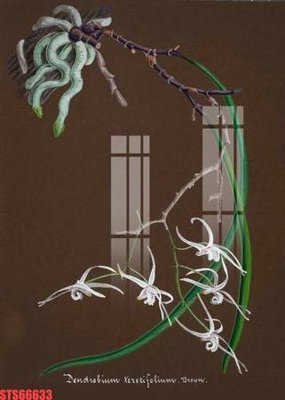 Tải file gốc Tranh sơn dầu phương tây tổng hợp STS66633 (in khổ lớn) không vỡ