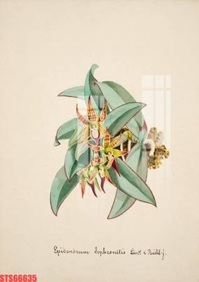 File tranh Tranh sơn dầu phương tây tổng hợp STS66635 (bản gốc) in lụa 5D