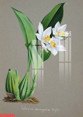 File tranh Tranh sơn dầu phương tây tổng hợp STS66641 (bản gốc) in canvas