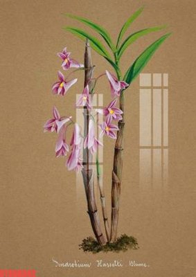 File tranh Tranh sơn dầu phương tây tổng hợp STS66642 (bản gốc) treo tường