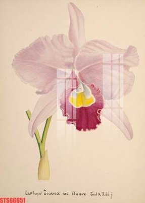 File gốc in ấn Tranh sơn dầu phương tây tổng hợp STS66651 (sẵn sàng tải về)