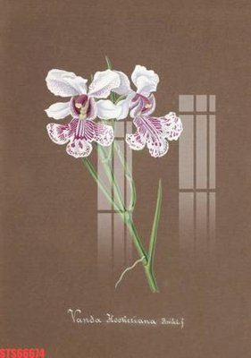 File in ấn cao cấp Tranh sơn dầu phương tây tổng hợp STS66674 (file gốc)