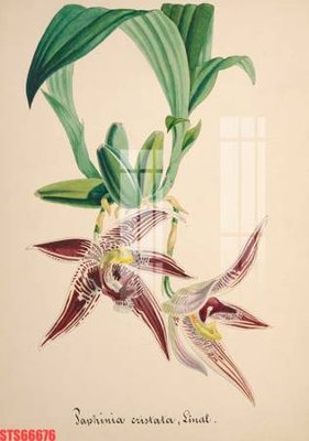 Tải file gốc in lụa Tranh sơn dầu phương tây tổng hợp STS66676 siêu nét