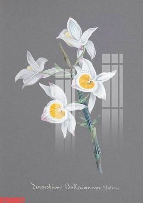 File tranh Tranh sơn dầu phương tây tổng hợp STS66677 (gốc) in vải canvas