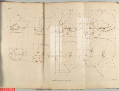 File ảnh Tranh sơn dầu phương tây tổng hợp STS68501 (gốc) in Hiflex