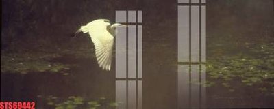 File tranh gốc Tranh sơn dầu phương tây tổng hợp STS69442 chủ đề hiện đại