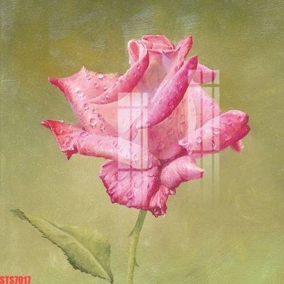 File tranh Tranh sơn dầu phương tây tổng hợp STS7017 (ảnh gốc) cho in ấn kỹ thuật số