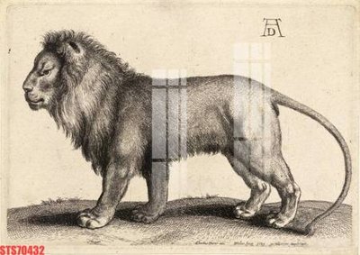 File tranh in mica Tranh sơn dầu phương tây tổng hợp STS70432 (độ phân giải cao)