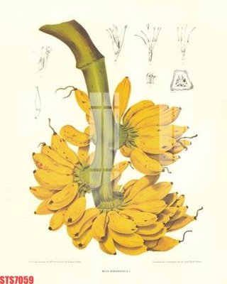 Tải file Tranh sơn dầu phương tây tổng hợp STS7059 (gốc) để in ấn ngay