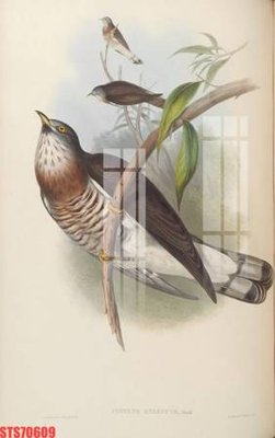 File ảnh Tranh sơn dầu phương tây tổng hợp STS70609 (gốc) in biển hiệu