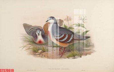 Download file gốc Tranh sơn dầu phương tây tổng hợp STS70619 (in lụa) tranh 3D