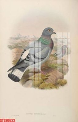 File gốc Tranh sơn dầu phương tây tổng hợp STS70622 (PNG) nền trong suốt