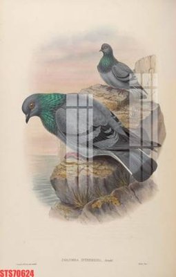 File in trần Tranh sơn dầu phương tây tổng hợp STS70624 (file gốc) hoa văn 3D