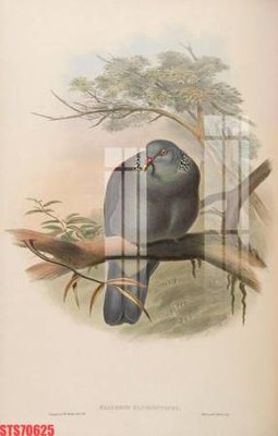 Tải file tranh Tranh sơn dầu phương tây tổng hợp STS70625 (gốc) tại Filetranh.com