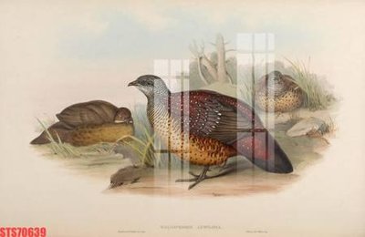 File gốc Tranh sơn dầu phương tây tổng hợp STS70639 (in lụa) cao cấp