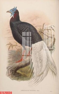 File gốc Tranh sơn dầu phương tây tổng hợp STS70659 (in lụa) tranh mã đáo