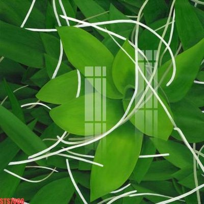 File in trần Tranh sơn dầu phương tây tổng hợp STS7066 (file gốc) phong thủy