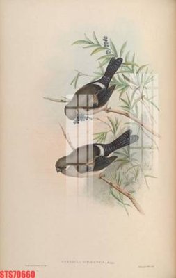 Download file gốc Tranh sơn dầu phương tây tổng hợp STS70660 (in lụa) cao cấp