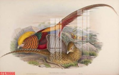 Tải file gốc Tranh sơn dầu phương tây tổng hợp STS70666 (in tráng gương) 5DFile gốc Tranh sơn dầu phương tây tổng hợp STS70666 (in ấn) phiên bản premium