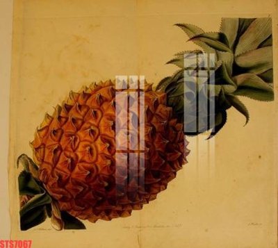 File tranh Tranh sơn dầu phương tây tổng hợp STS7067 (bản gốc) in lụa 5D