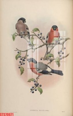 File in trần Tranh sơn dầu phương tây tổng hợp STS70671 (bản gốc 3D) sống động