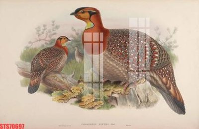 File PSD Tranh sơn dầu phương tây tổng hợp STS70697 (gốc) cho in quảng cáo