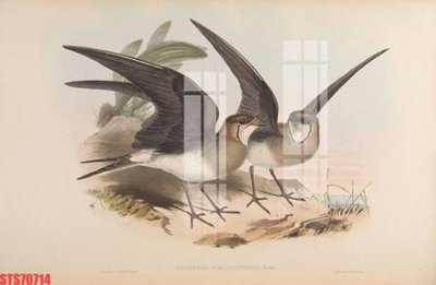 File gốc Tranh sơn dầu phương tây tổng hợp STS70714 (Filetranh.com) Tranh sơn dầu phương tây tổng hợp STS70714