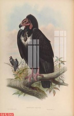 File gốc Tranh sơn dầu phương tây tổng hợp STS70725 (in lụa) hoa văn cổ điển