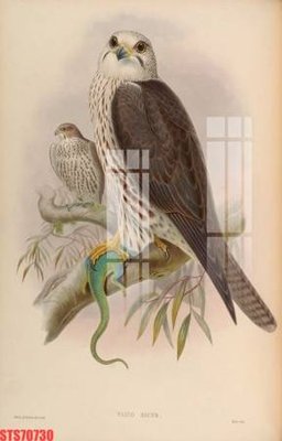 File gốc Tranh sơn dầu phương tây tổng hợp STS70730 (phong cách) tối giản