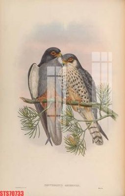 File tranh Tranh sơn dầu phương tây tổng hợp STS70733 (ảnh gốc) cho in ấn kỹ thuật số