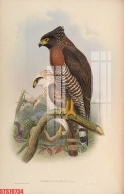 File gốc Tranh sơn dầu phương tây tổng hợp STS70734 (in lụa) chi tiết cao