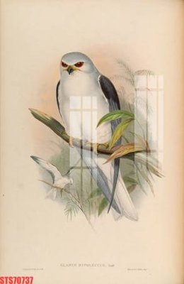 Tải file gốc Tranh sơn dầu phương tây tổng hợp STS70737 (in bạt) quảng cáo